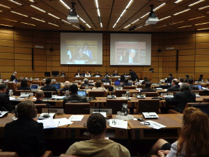 4th UNCAC IRG Briefing for NGOs at UN Vienna